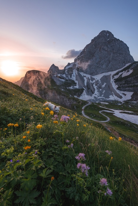 A Janela Perfeita da Primavera para Explorar